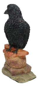 Edgar Poe Realistic Goth Raven Crow Perching On Rocks Figurine Macabre Dark Arts