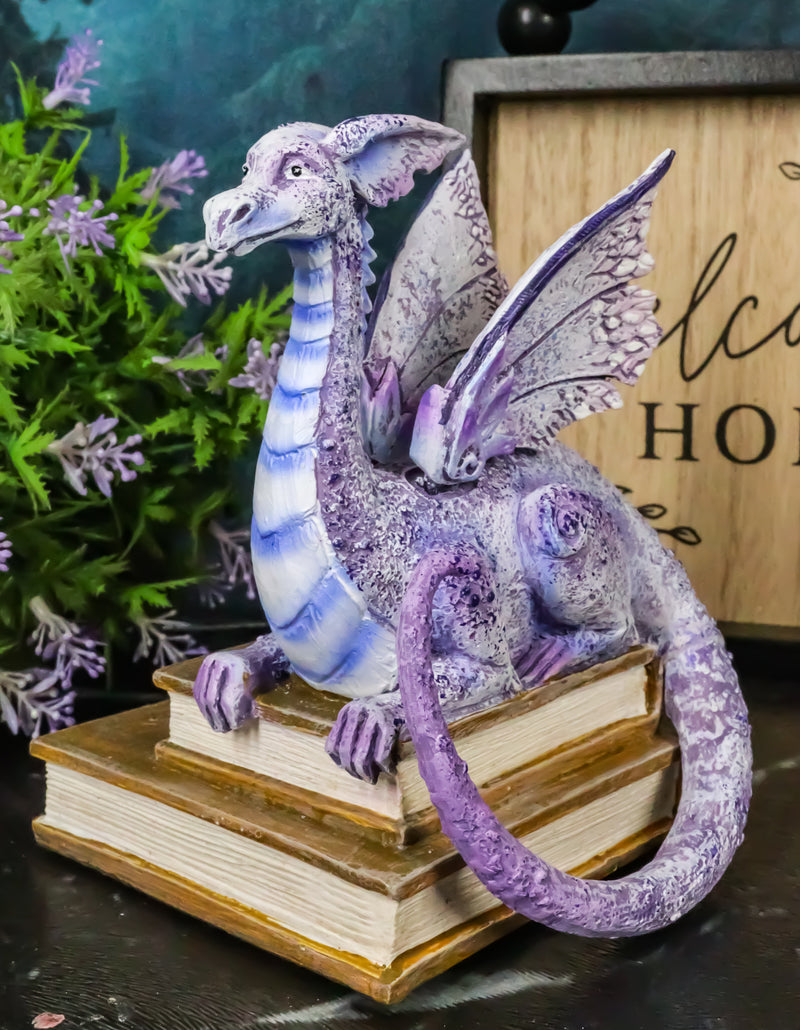 Amy Brown Purple Crater Moon Bookworm Dragon Sitting On Stack Of Books Figurine