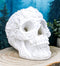 Ebros French Baroque Rococo White Floral Skull Statue Royal European 3D Skulls Decor
