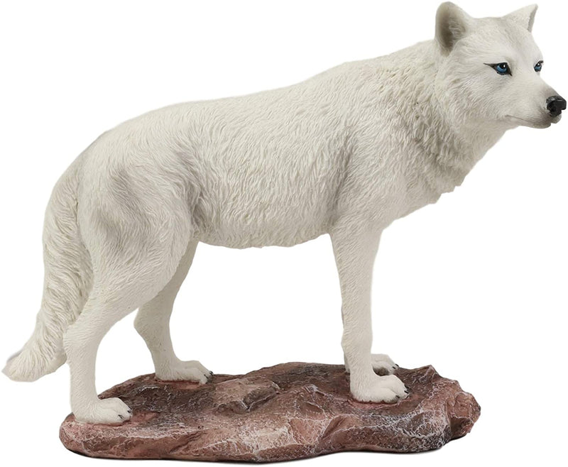 Ebros Gift Realistic Winter Hunter Tundra Snow White Albino Wolf Statue 8" Long