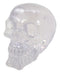 Ebros Gift Occultic Witchcraft Shrine Clear Acrylic Resin Translucent Skull Decorative Figurine 6" L