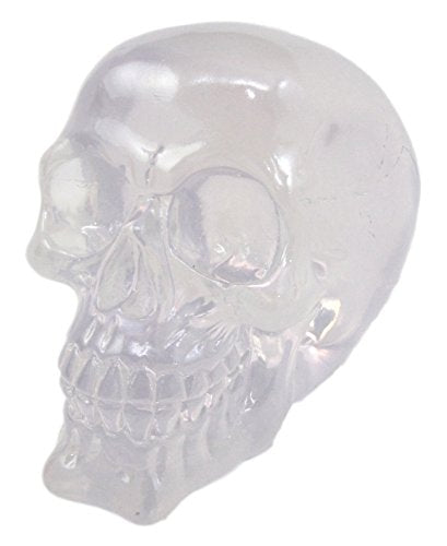 Ebros Gift Occultic Witchcraft Shrine Clear Acrylic Resin Translucent Skull Decorative Figurine 6" L