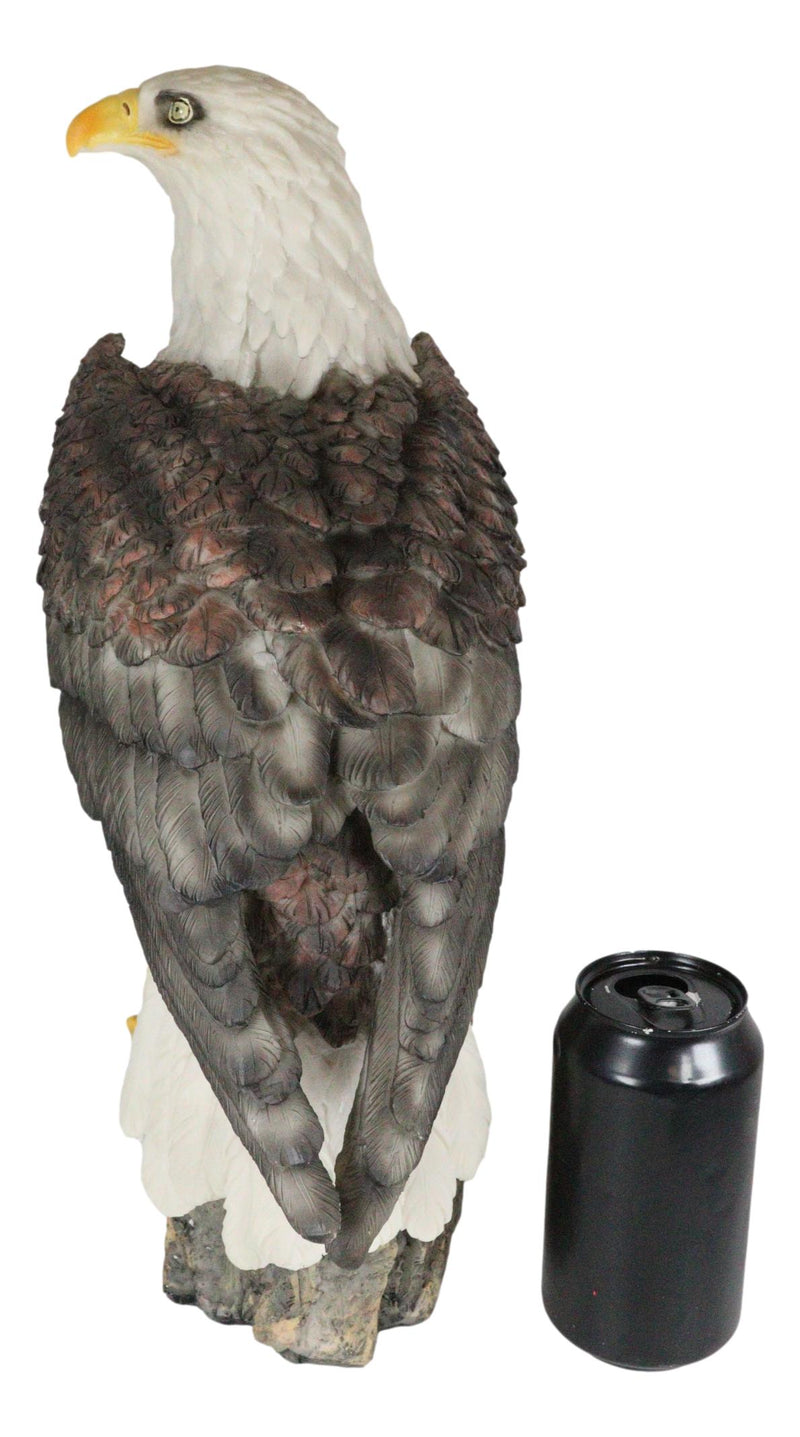 Large Realistic American Bald Eagle Bird Perching On Rock Decorative Figurine