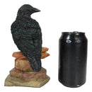 Edgar Poe Realistic Goth Raven Crow Perching On Rocks Figurine Macabre Dark Arts