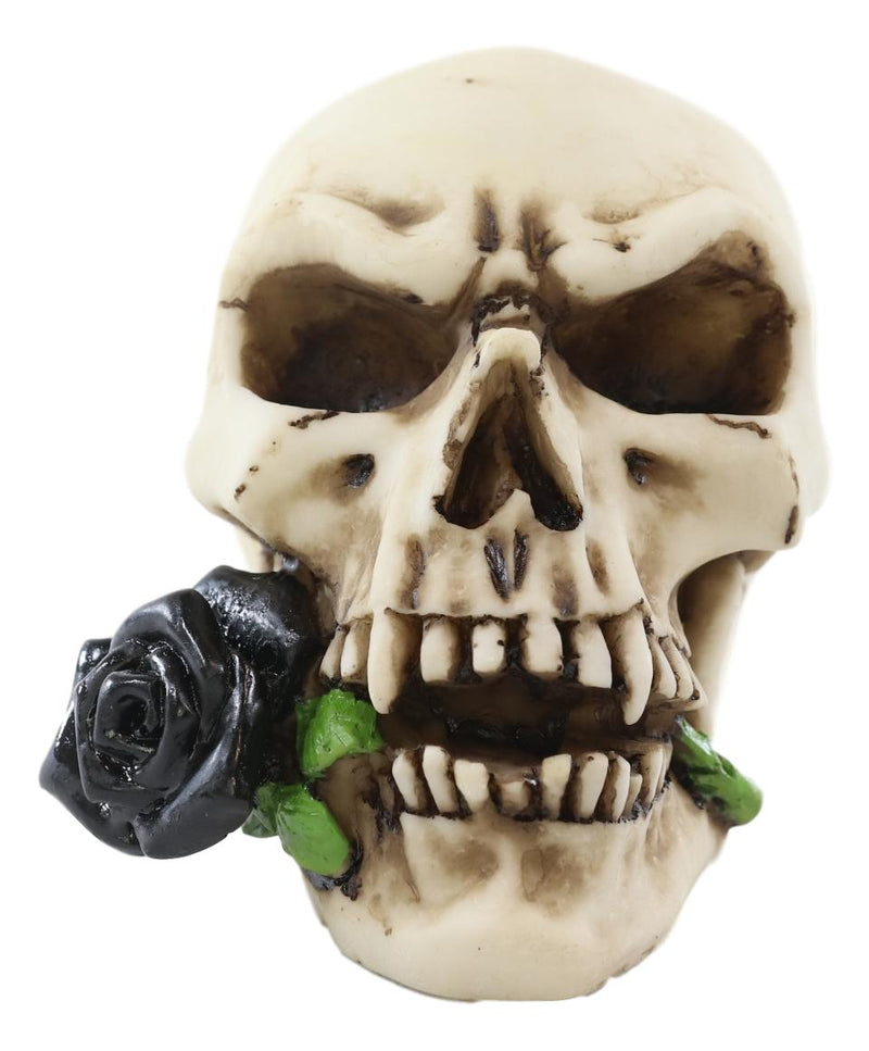 Ebros Black Tango Vampire Skull Biting Pale Rose Stalk Figurine 5"L Ossuary