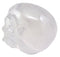 Ebros Gift Occultic Witchcraft Shrine Clear Acrylic Resin Translucent Skull Decorative Figurine 6" L