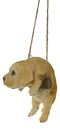 Set Of 2 Lifelike Golden Retriever Puppy Dogs On Branch Swing Hanger Wall Decors