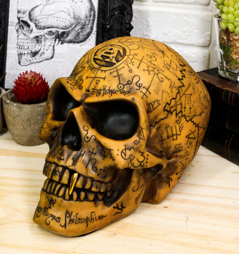 Ebros Alchemy Alpha Omega Ancient Mystical Symbols Skull With Sharp Canine Figurine