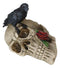 Gothic Raven Crow Perching On Rose Skull Cigarette Ashtray Jewelry Dish Figurine