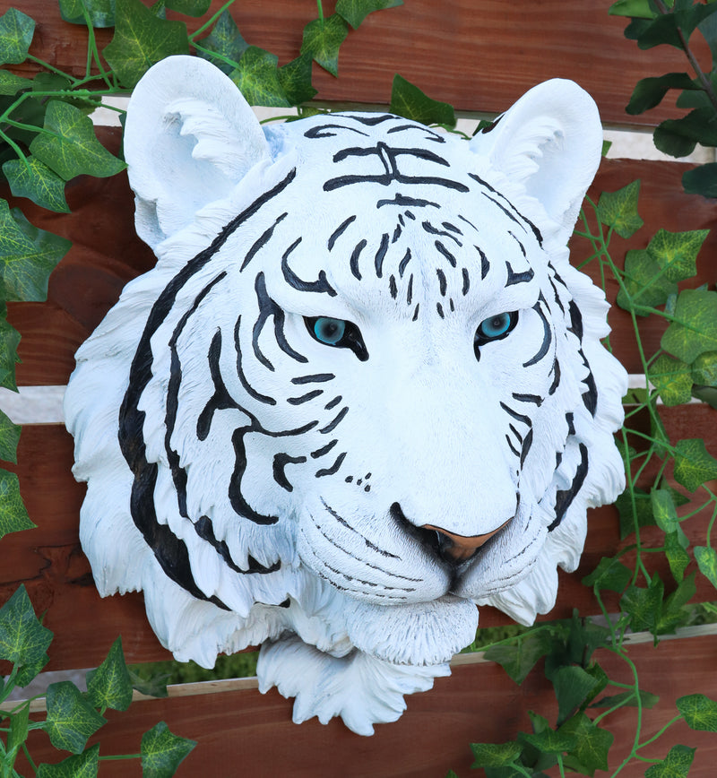 Rare Blue Eyed White Tiger Wall Bust Sculpture Blue Ice Predator Forest Figurine