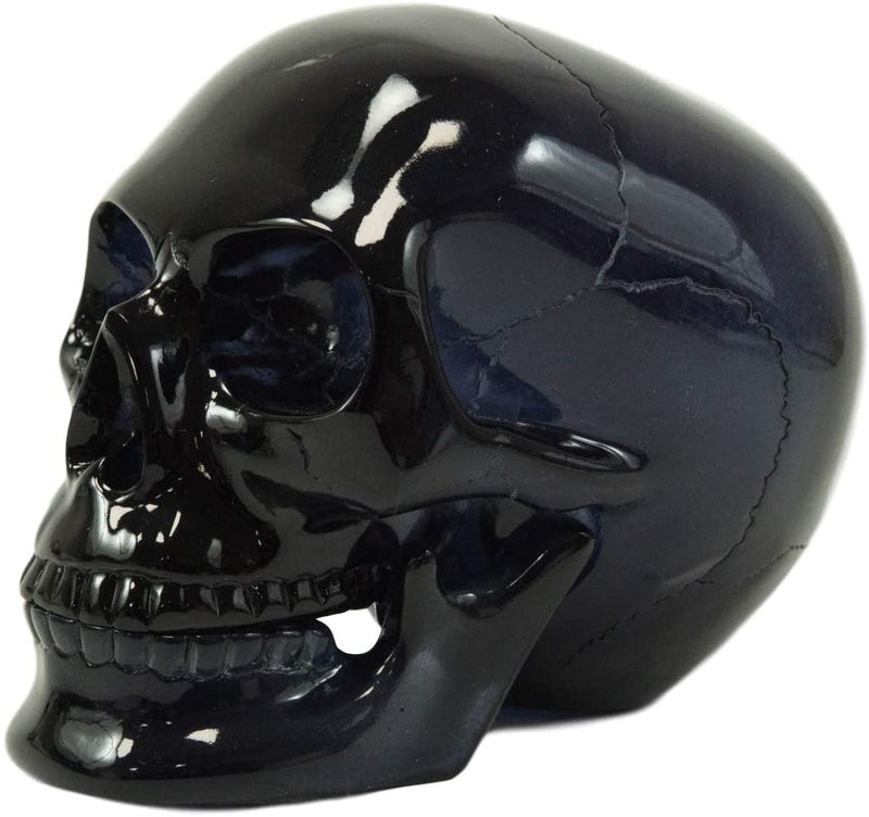Ebros Black Translucent Jointed Cranium Skull Statue with Removable Jaw Bone