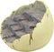 Ebros Wyrmling Dragon Hatchling Cracked Egg Miniature Display Stand with Rocky Steps Figurine As Decorative Housing for Miniature Dragons Sculptures Medieval Fantasy Alchemy Decorative Statue