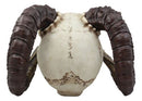 Large Bizarre Demonic Krampus Ram Horned Skull Statue Gothic Figurine Halloween