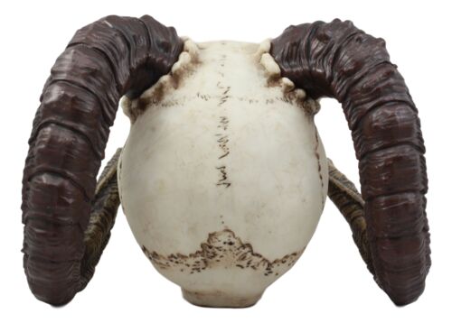 Large Bizarre Demonic Krampus Ram Horned Skull Statue Gothic Figurine Halloween