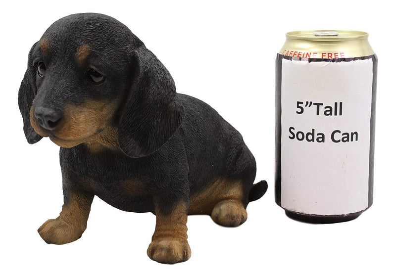 Ebros Realistic Black And Tan Dachshund Puppy Statue 8"L Schnitzel Sausage Wiener Dog