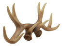 Ebros Brown Rustic 10 Point Stag Deer Antlers Rack Wall Plaque 17"W Coat Hooks