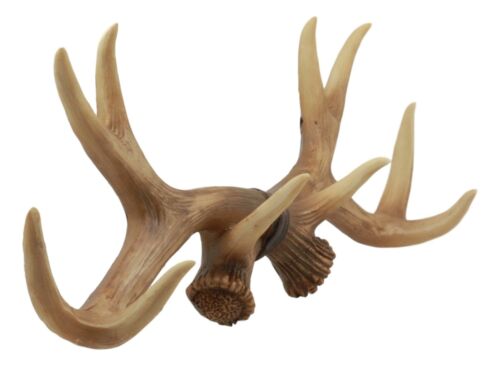 Ebros Brown Rustic 10 Point Stag Deer Antlers Rack Wall Plaque 17"W Coat Hooks