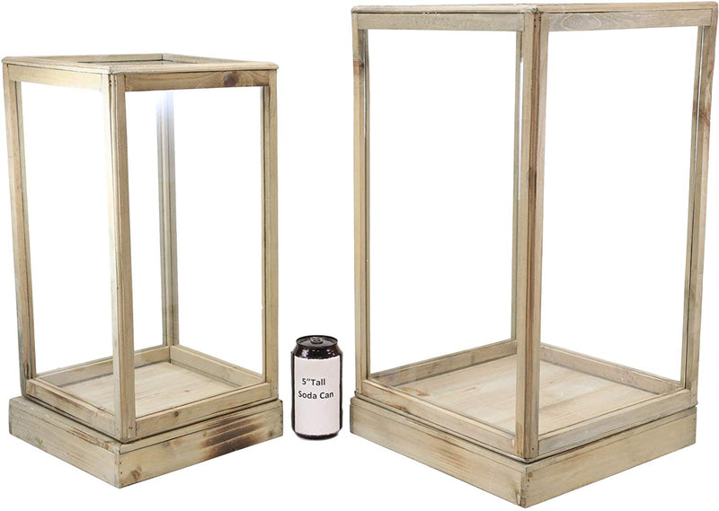 Ebros Set of 2 Large Rustic Clear Glass Display Boxes with Natural Wood Frames