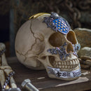 Ebros The Knights of The Round Table Skulls Sir Geraint Resin Skull Figurine