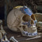 Ebros The Knights of The Round Table Skulls Sir Percival Resin Skull Figurine