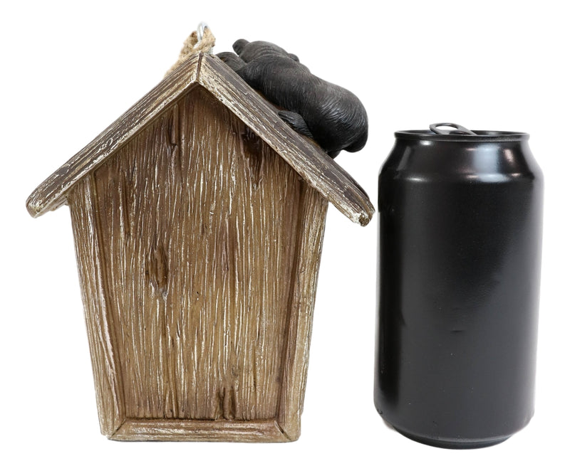 Rustic Black Bear Cub Climbing Pine Trees Birdhouse Roof Hanging Bird Feeder