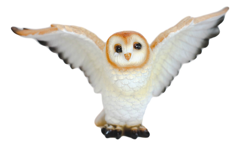 Realistic Woodlands Wildlife Common Barn Owl Bird Spreading Its Wings Statue 8"W