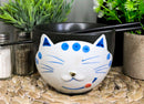 Ebros Whimsical Ceramic Black Lucky Meow Cat Ramen Noodle Bowl & Chopsticks Set