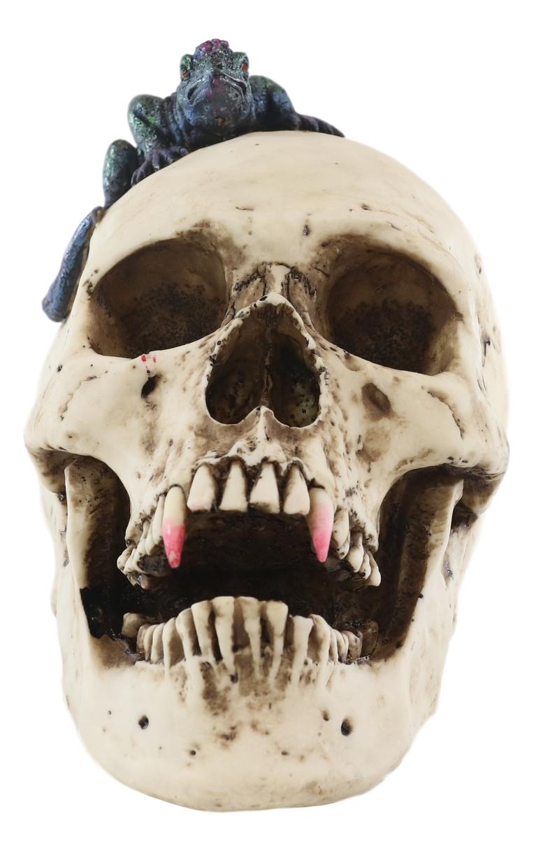 Large Dracula Fanged Skull With Iguana Statue Halloween Spooky Decor Figurine