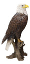 Ebros 27"H Realistic American Pride Bald Eagle Perching On Tree Stump Statue