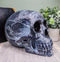 Ebros Black Astrology Paranormal Ouija Spirit Skull Statue 8.5"L Supernatural