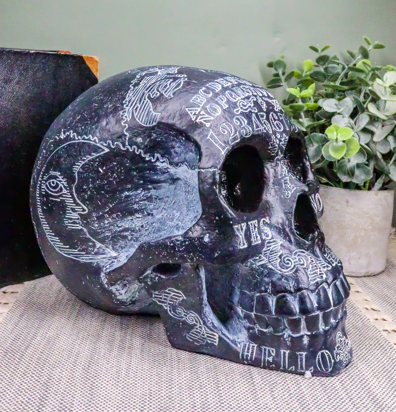 Ebros Black Astrology Paranormal Ouija Spirit Skull Statue 8.5"L Supernatural