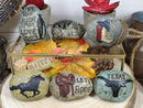 Set of 6 Western Texas Cowboy Longhorn Rodeo Horse Boot Colorful Pebble Rocks