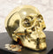 Electroplated Shiny Gold Cranium Skull Head Money Bank Resin Figurine 7.5"L