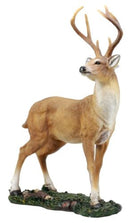 Ebros Wildlife 8 Point Trophy Buck Statue 15"H Outdoor Hunter Whitetail Deer Figurine