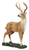 Ebros Wildlife 8 Point Trophy Buck Statue 15"H Outdoor Hunter Whitetail Deer Figurine