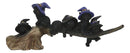 Halloween 5 Black Kitten Cats With Witch Hat Riding Magical Broomstick Figurine