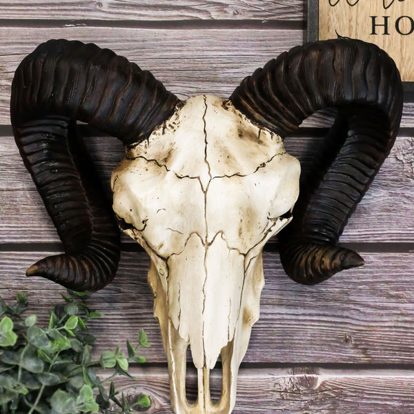 Large Bighorn Ram Skull Wall Decor 11