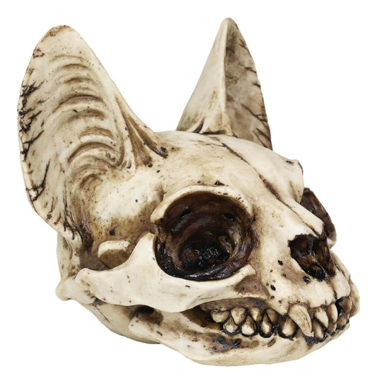Egyptian Goddess of Protection And Home Bastet Cat Skull Statue Macabre Skulls
