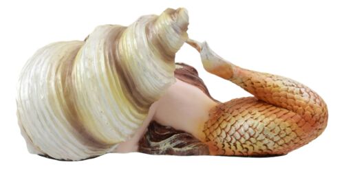 Ebros Under The Sea Young Mermaid Resting by Snail Sconce Shell Figurine