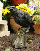 Ebros Large 14" Long Gothic Raven Crow Perching On Tree Stump Statue Figurine
