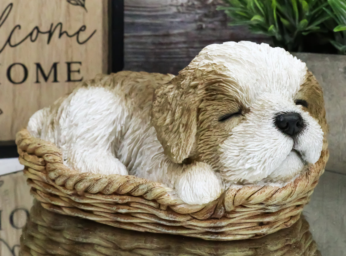 Ebros Realistic Life Like Shih Tzu Sleeping In Wicker Basket Statue Puppy Dog Figurine