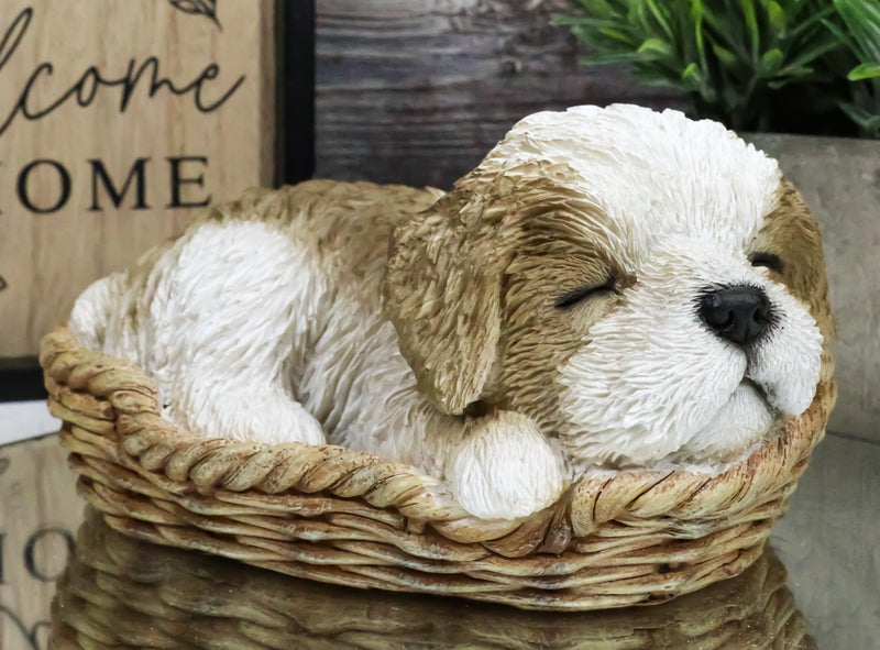 Ebros Realistic Life Like Shih Tzu Sleeping In Wicker Basket Statue Puppy Dog Figurine