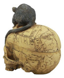 Paranormal Pentagram Colonial Witch Map Salem Skull And Mouse Jewelry Box Statue
