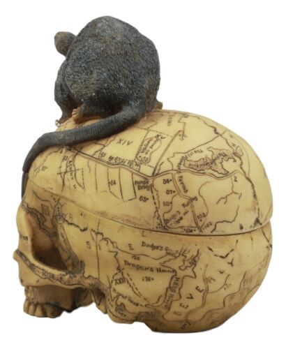 Paranormal Pentagram Colonial Witch Map Salem Skull And Mouse Jewelry Box Statue