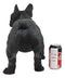 Cute Large Lifelike Black French Bulldog Statue With Glass Eyes 19.5"Long Decor