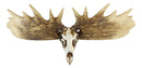 Rustic Western Moose Elk Skull With Point Hook Antlers Wall Floating Shelf 22"L