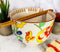 Japanese Design Ceramic Ramen Noodles Bowl & Chopsticks Set Spring Flower Bloom