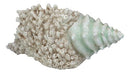 Large Ocean Sea Shell Conch Statue With Mosaic Crushed Glass 7"L Seashells Art