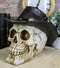 Western Cowboy Rodeo Skull Statue 6.75"Long Day Of The Dead Skull Figurine