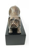 Ebros Brass Made Crouching Muscular Bulldog Door Stop Stopper Wedge Home Decor